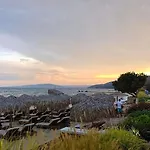 Queen's View App-9 Free Pool,parking, Fitness & Sea View Apartment